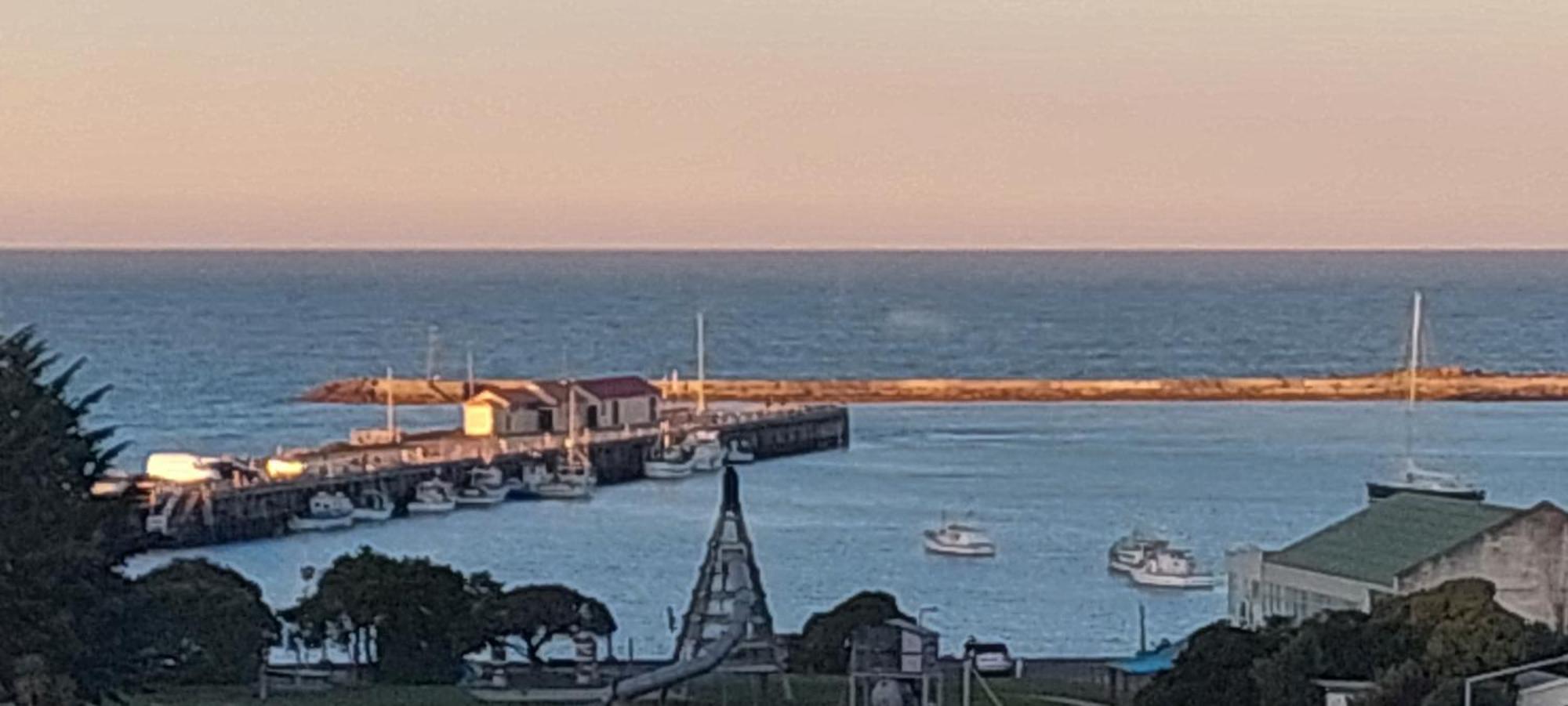 Oamaru Pink Cottage Εξωτερικό φωτογραφία